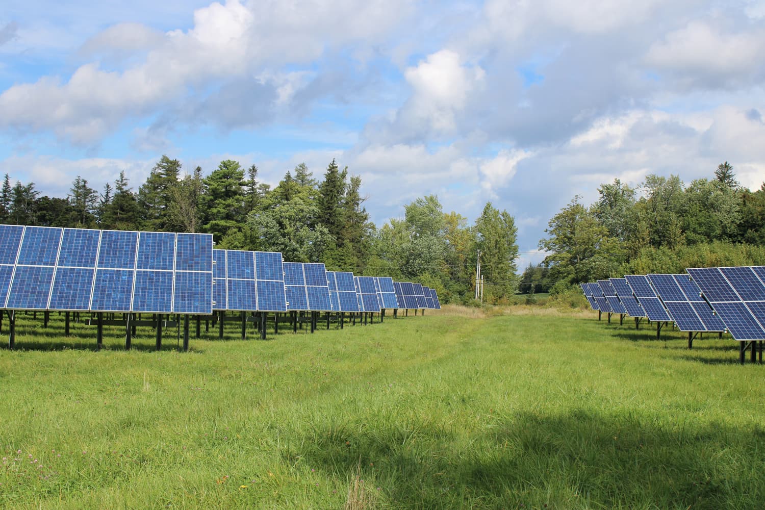 PV-Park am Spreewald-Korridor